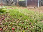 Land for Sale in Aththidiya