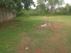 Land for Sale in Aththidiya