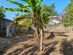 Land For Sale In Athurugiriya - CL749