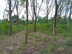 Land for Sale in Athurugiriya