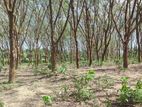 Land for Sale in Athurugiriya