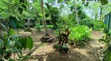Land for Sale in Athurugiriya
