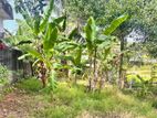 Land for Sale in Athurugiriya (Near Millennium City)