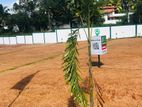 Land for Sale in Athurugiriya Town