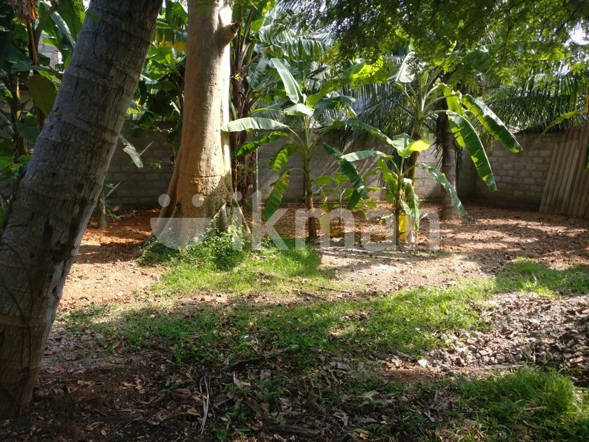 Land for Sale in Attidiya Dehiwala CL294 ikman