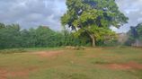 Land for Sale in Attidiya, Dehiwala
