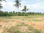 Land for Sale in Aulegama