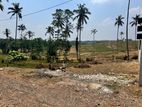 Land for Sale in Avalon, Nagoda, Kalutara