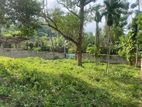 Land for Sale in Avissawella 23 P