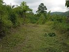 Land For Sale in Avissawella