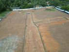 Land for Sale in Awissawella