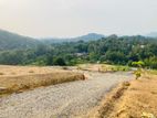 Land for Sale in Awissawella