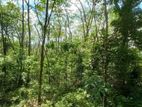Land for Sale in Awissawella / Kk 15913
