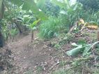 Land for Sale in Badulla City Limit, Pinarawa