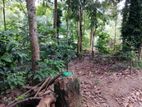 Land for sale in Badulla