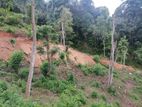 Land for Sale in Badulla