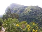 Land for Sale in Badulla