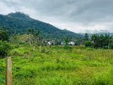 Land for Sale in Badulla Town