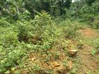 Land for Sale in Baduraliya