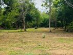 Land for Sale in බැඳිවැව පොලොන්නරුව