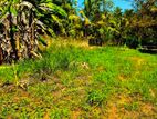Land for Sale in Bakmeegolla Kurunegala