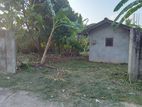 Land for Sale in Balabowa
