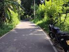 Land for Sale in Balagolla