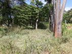 LAND FOR SALE IN BALAGOLLA