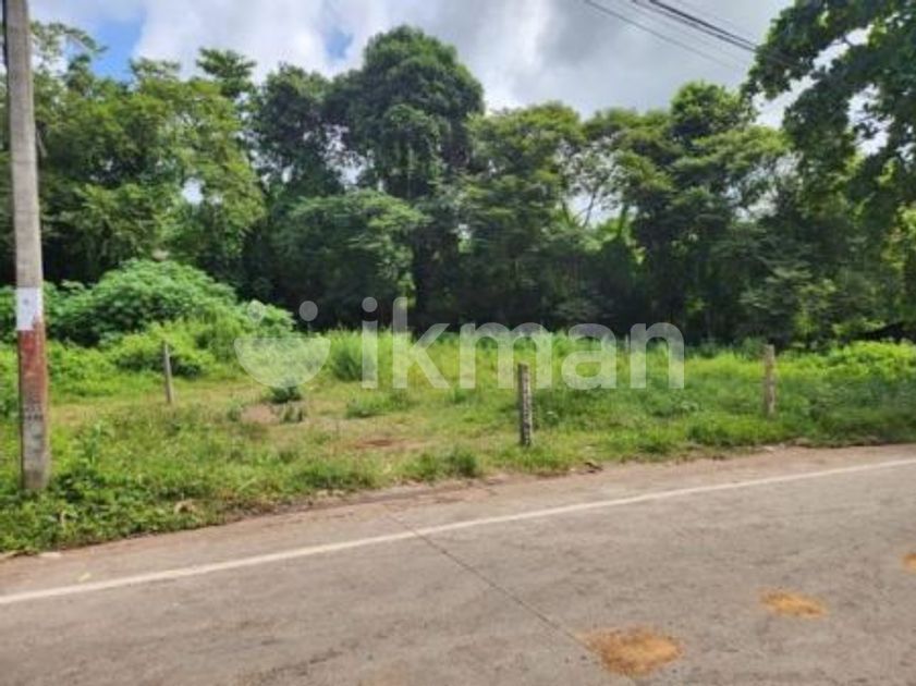 Land for sale in Balangoda ikman