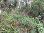 Land for sale in Balangoda