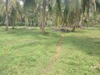 Land for Sale in Balangoda