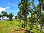 Land for Sale in Balangoda