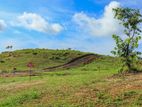 Land for Sale in Balangoda