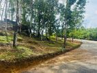 Land for sale in Ballapitiya