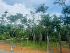 Land for Sale in Ballapitiya