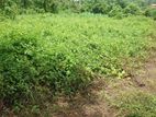 Land For Sale In Bandaragama - CL841
