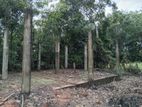 Land For Sale In Bandaragama