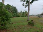 Land for Sale in Bandaragama