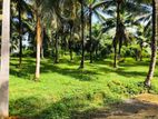 Land for Sale in Bandaragama