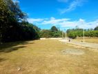 Land for Sale in Bandaragama