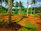 Land for Sale in Bandaragama