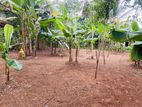 Land for Sale in Bandaragama