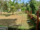 Land for Sale in Bandaragama