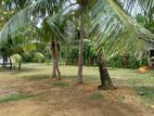 Land for sale in Bandaragama