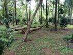 Land for sale in Bandaragama