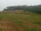 Land for Sale in Bandaragama