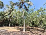 Land for Sale in Bandaragama