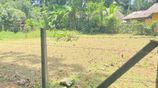 Land for Sale in Bandaragama