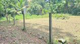 Land for Sale in Bandaragama