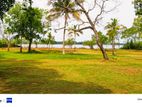 Land for Sale In Bandaragama